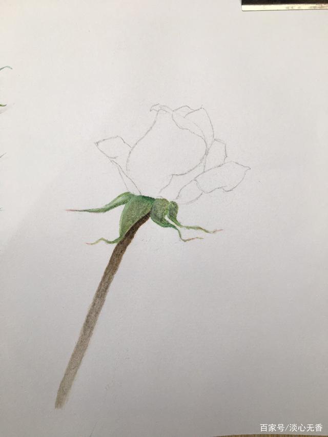 盆栽菊花怎么养殖方法:掌握要领,让你的菊花绽放光彩