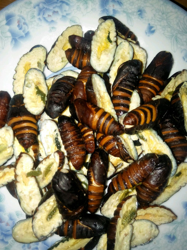 鮰鱼豆腐的家常美味:鮰鱼豆腐做法详解