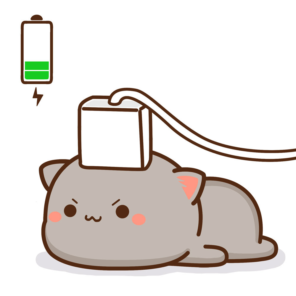 农村狗狗住宿:打造温馨的乡村宠物乐园