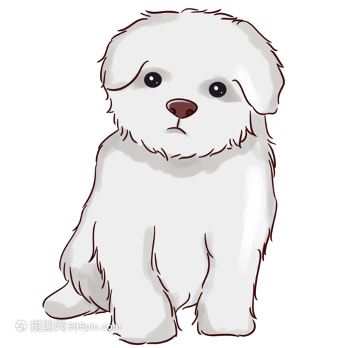 狗狗通便吗?揭开宠物健康的秘密